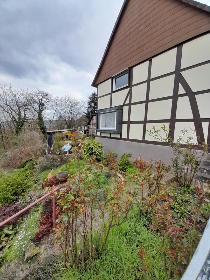 Why Not Strandblick Apartment Polle Exterior foto